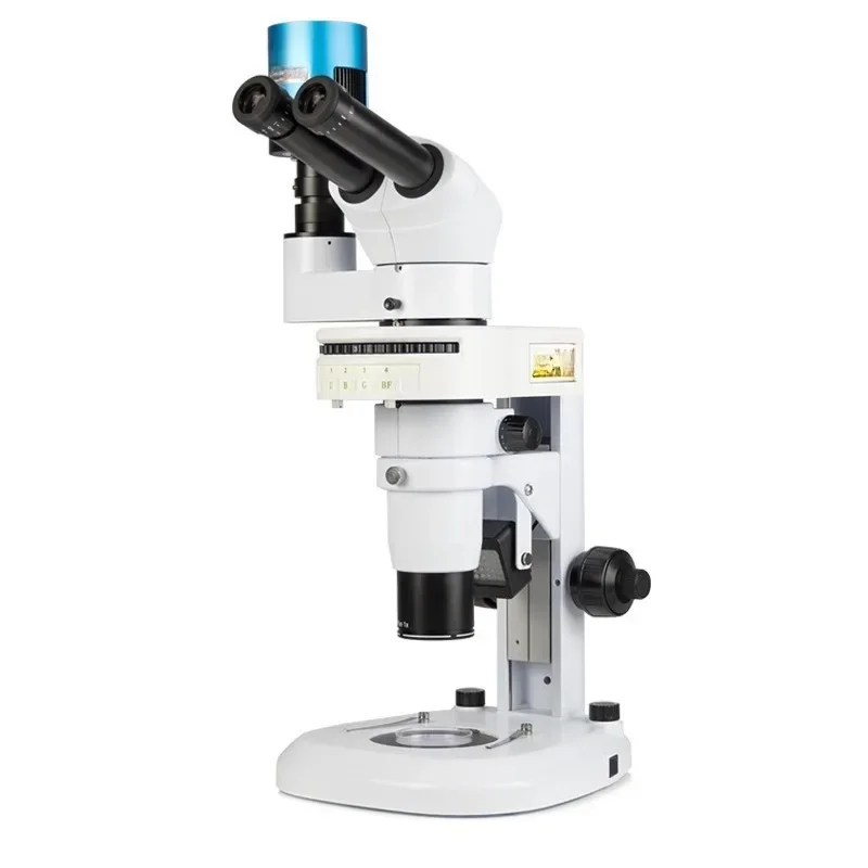 Medical Lab Observer - Fluorescence microscope zebrafish nematode observation life