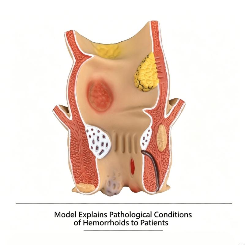 Q6PA 3D Pathology Teaching Mod - Medical Lab Observer recension och pris